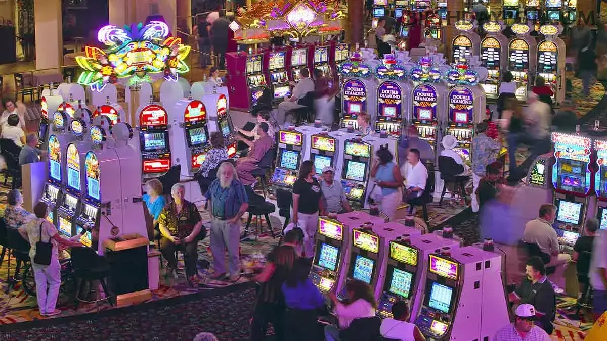 Slots birthdaypg - Sweet Bonanza e caça-níqueis populares
